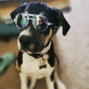 Fundraising Page: Aimee McDaniel